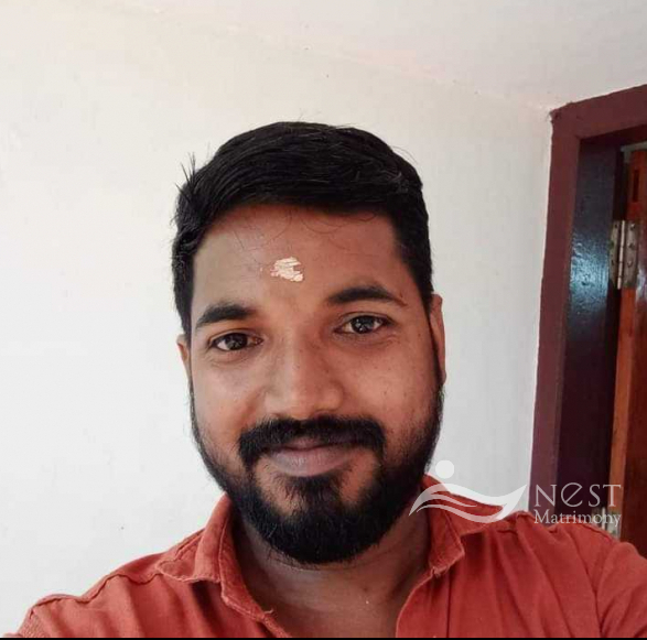 Sreejith m nair